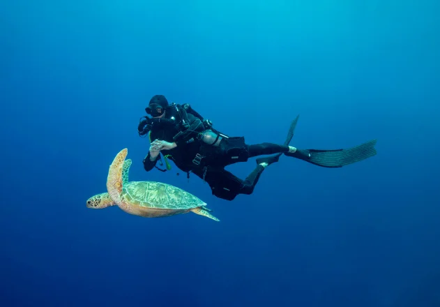 Know your diving certification requirements